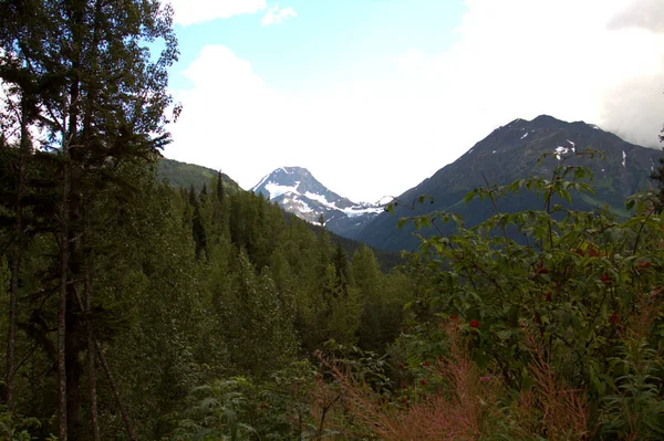 Pittoresca Valle Alta Nelle Montagne Chugach Dell Alaska — Foto Stock