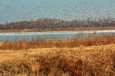 Vahşi Yaşam Sığınağında Gün Doğumu