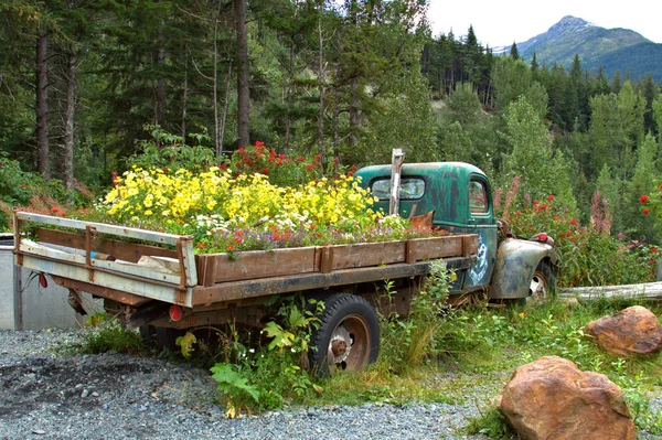 Old truck located in the picturesque valley high in the Chugach Mountains of Alaska with flowers planted in the truck bed