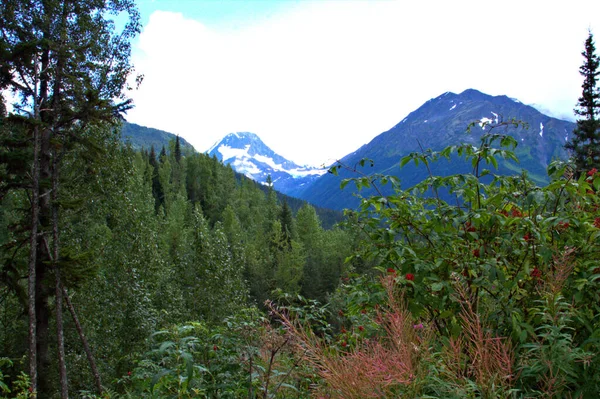 Paisagem do Alaska — Fotografia de Stock