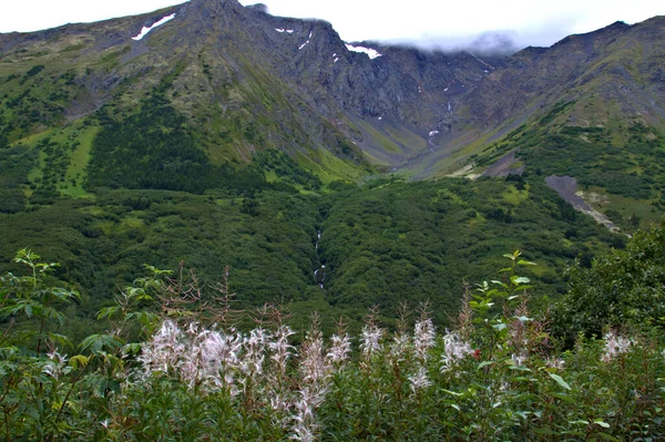 Alaska paisaje —  Fotos de Stock