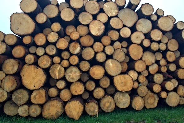 Kırsal Avusturya Manzarası