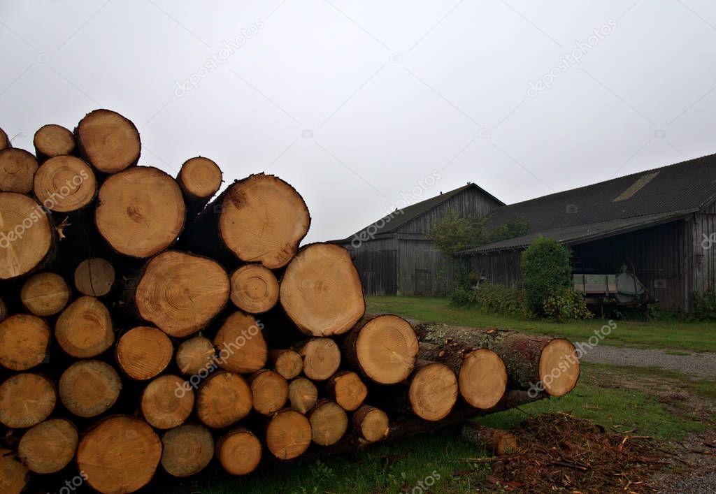 Rural Austria Landscape with stacked logs