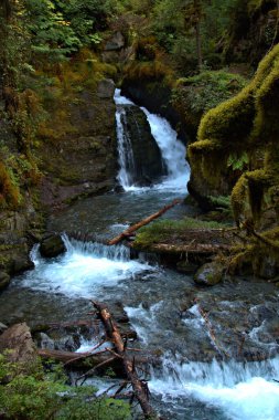 Alaska kırsalının hızlı akan suyu