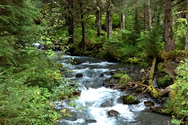 Fast Moving water of rural Alaska — Stock Photo, Image