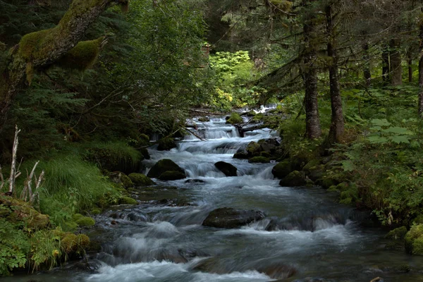Rychle tekoucí voda venkovského potoka Aljaška — Stock fotografie