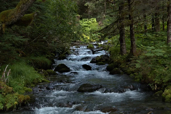 Schnelllebiges Wasser der ländlichen alaska — Stockfoto