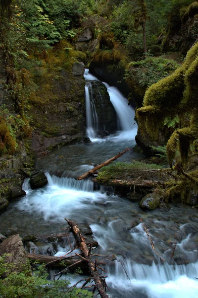 Schnelllebiges Wasser der ländlichen alaska — Stockfoto