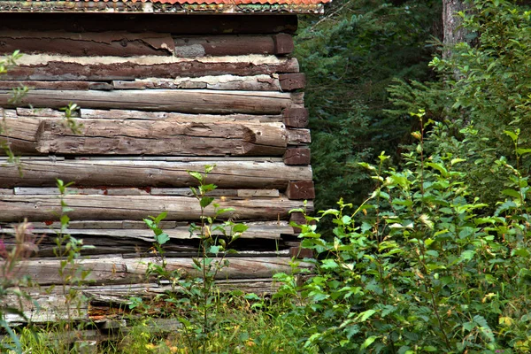 Logboek hut in Alaska — Stockfoto