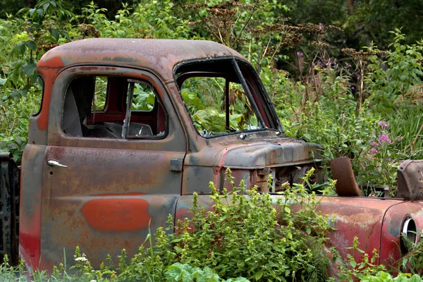 Alaska fixateur supérieur Pickup — Photo