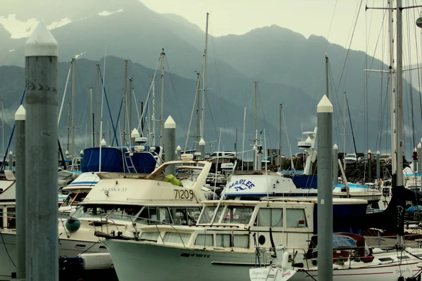 Seward Alaska Pesca — Foto Stock