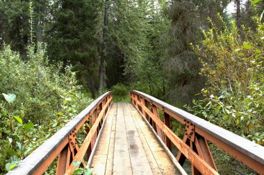 Alaska Yürüyüş Yolu