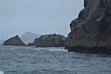 Alaska 'nın dalgalı denizleri
