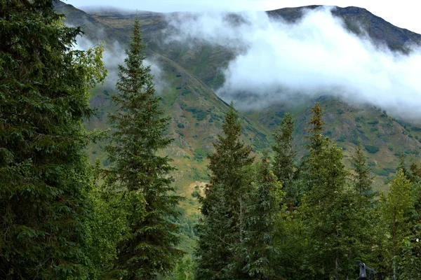 Alaska Landscape — Stock Photo, Image