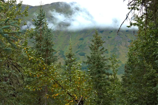 Paisagem do Alaska — Fotografia de Stock