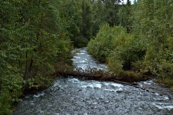 Alaska paesaggio — Foto Stock