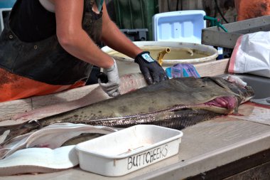 Homer Alaska 'da ticari işler balık temizleme
