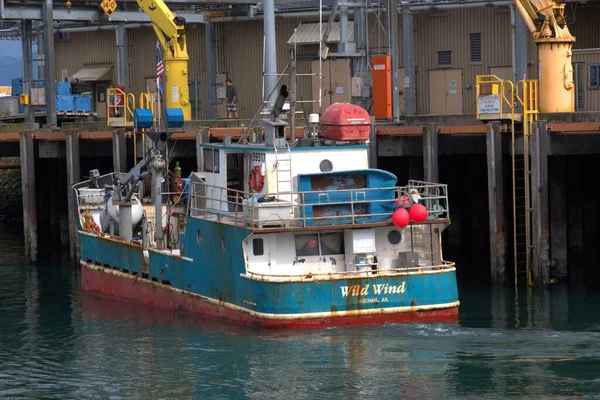 アラスカ州ホーマーに停泊中の漁船は加工する魚の貨物を積み込み — ストック写真