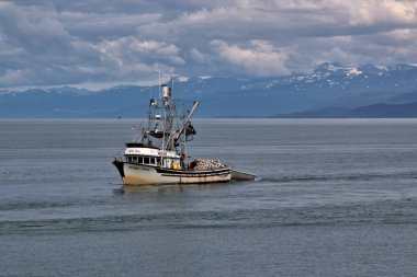 Alaska 'da balıkçı tekneleri birbirlerinin yanından geçerken biri içeri giriyor diğeri dışarı çıkıyor.