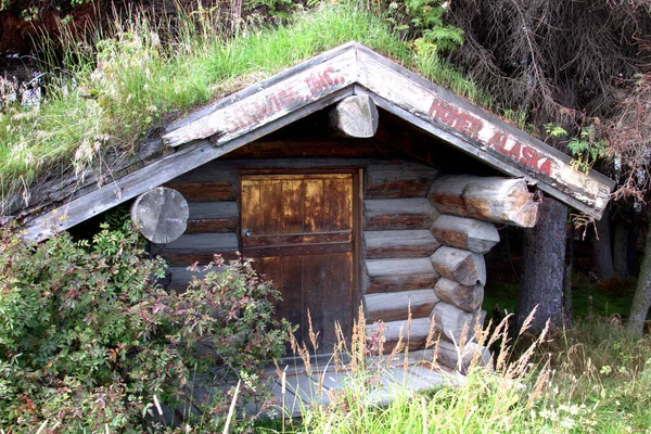 Logboek hut in Alaska — Stockfoto
