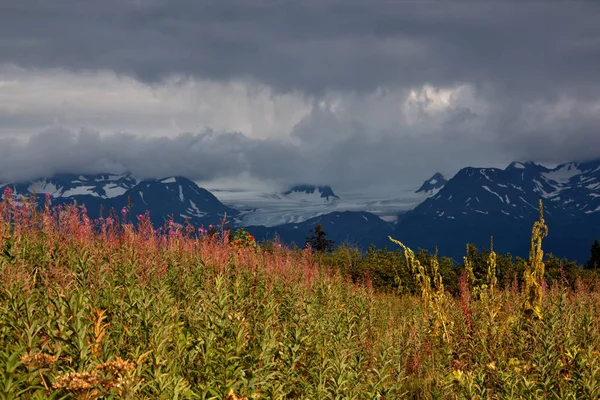Alaska peyzaj — Stok fotoğraf