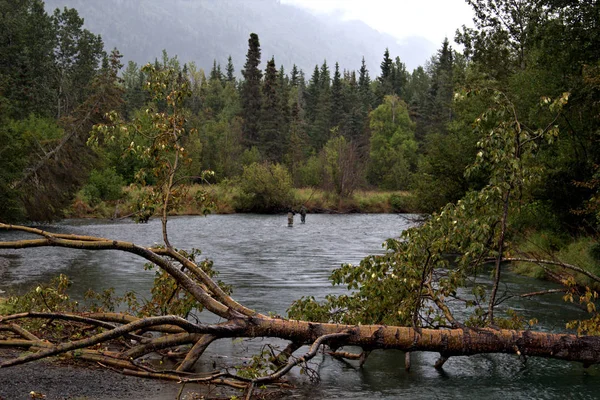 Pêcheurs de saumon en Alaska — Photo