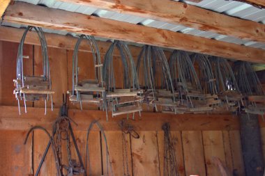 Alaska 'da bir tuzakçı kulübesinde kürk kurutma çerçeveleri