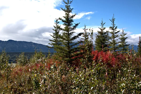 Paradiso escursionistico in Alaska — Foto Stock