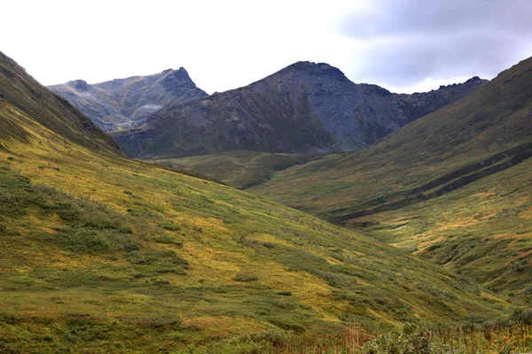 Landscape along the Alaska highways — Stock Photo, Image