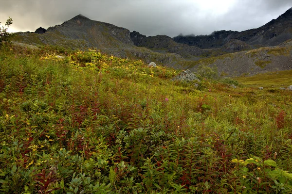 Hatcher πέρασμα στα βουνά Talkeetna της Αλάσκας — Φωτογραφία Αρχείου