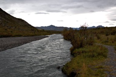 Denali Milli Parkı manzarası