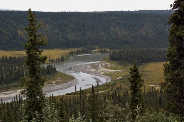 A Denali Nemzeti Park tájképe — Stock Fotó