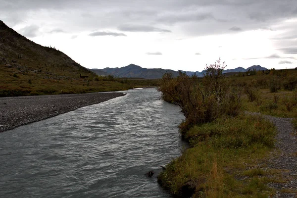 Landskap i Denali nationalpark — Stockfoto