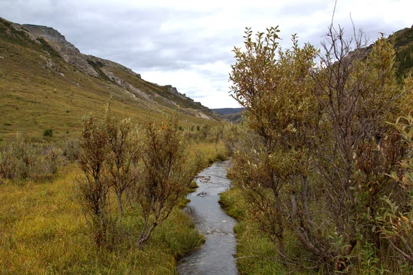 Denali Milli Parkı manzarası — Stok fotoğraf