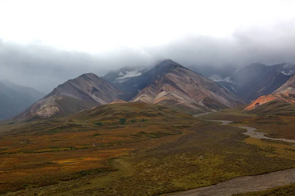 Paesaggio del Parco Nazionale di Denali — Foto Stock