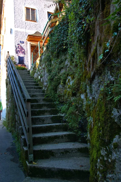 Scale Pietra Portano Fino Case Hallstatt Austria — Foto Stock