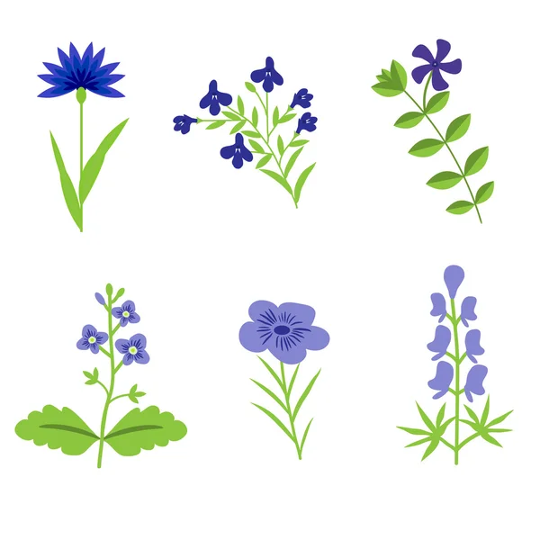 Flowers isolated set — Stock Vector