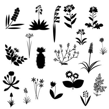Flowers set collection clipart