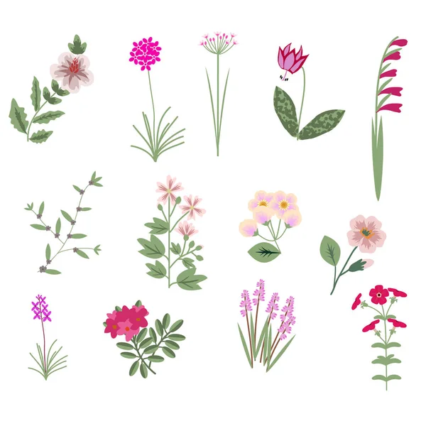 Roze vector bloemen — Stockvector