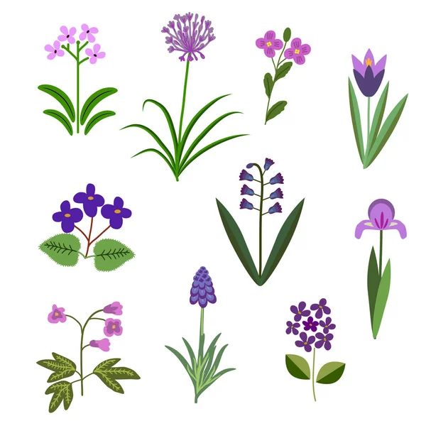 Conjunto de flores violeta — Archivo Imágenes Vectoriales