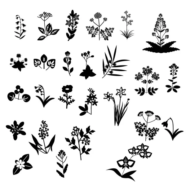 Colección conjunto de flores — Vector de stock