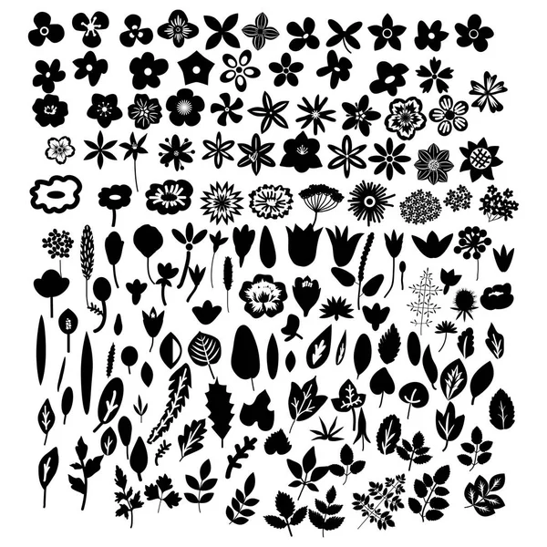 Vector plants set — Stock Vector