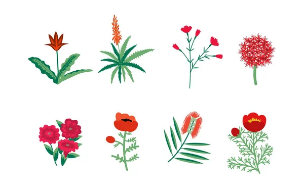 Conjunto de flores rojas — Archivo Imágenes Vectoriales