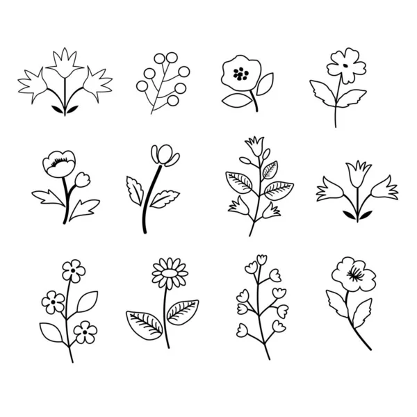 Decoratieve bloemen set — Stockvector