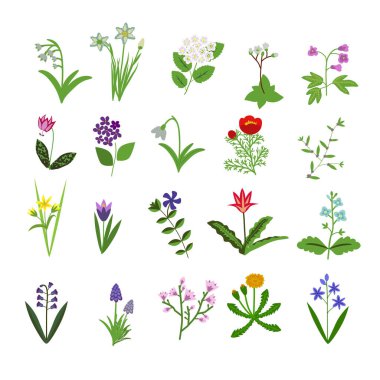 Bahar vektör çiçek simgeleri ayarlandı