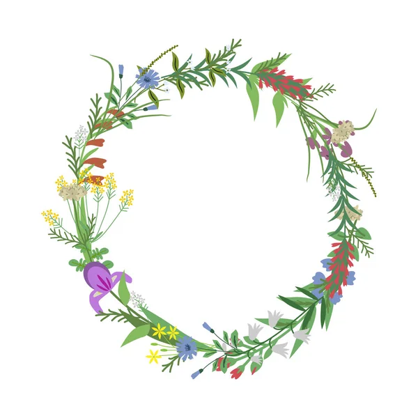 Цветочный Векторный Венок Дикими Растениями — стоковый вектор
