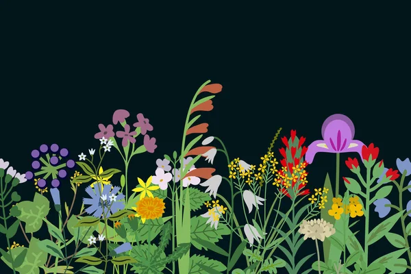 Fleurs Sauvages Fond Vectoriel Été — Image vectorielle