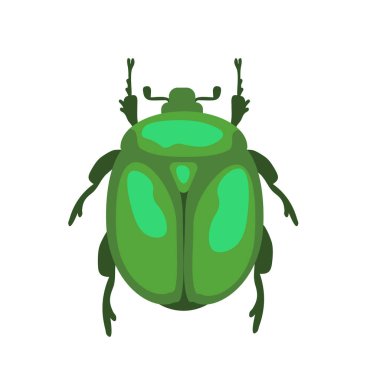 Yeşil çiçek chafer vektör çizimi
