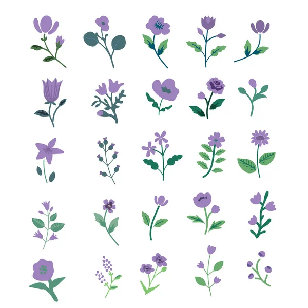 Violet Geïsoleerde Eenvoudige Bloemen Set — Stockvector