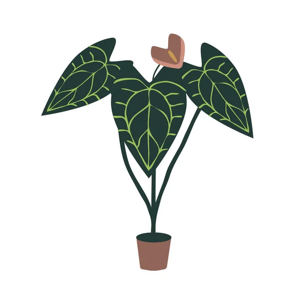 Anthurium Slang Plant Vector Illustratie — Stockvector